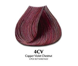 Satin- Cooper Violet Chestnut -4CV