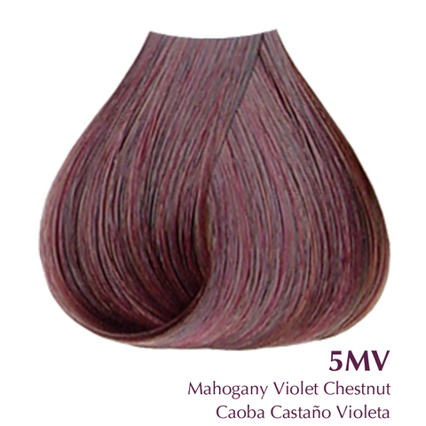 Satin-  Mahogany Violet Chestnut 5MW