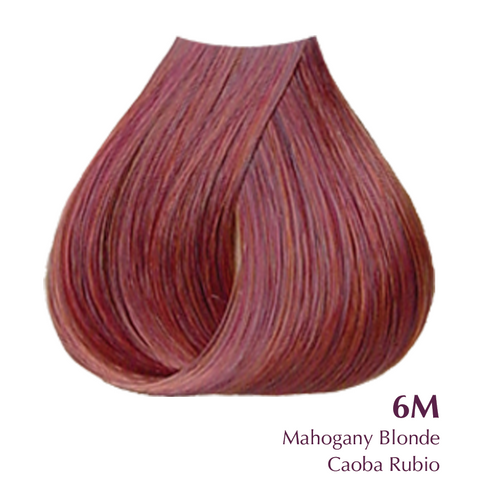 Satin- Mahogany Blonde 6M